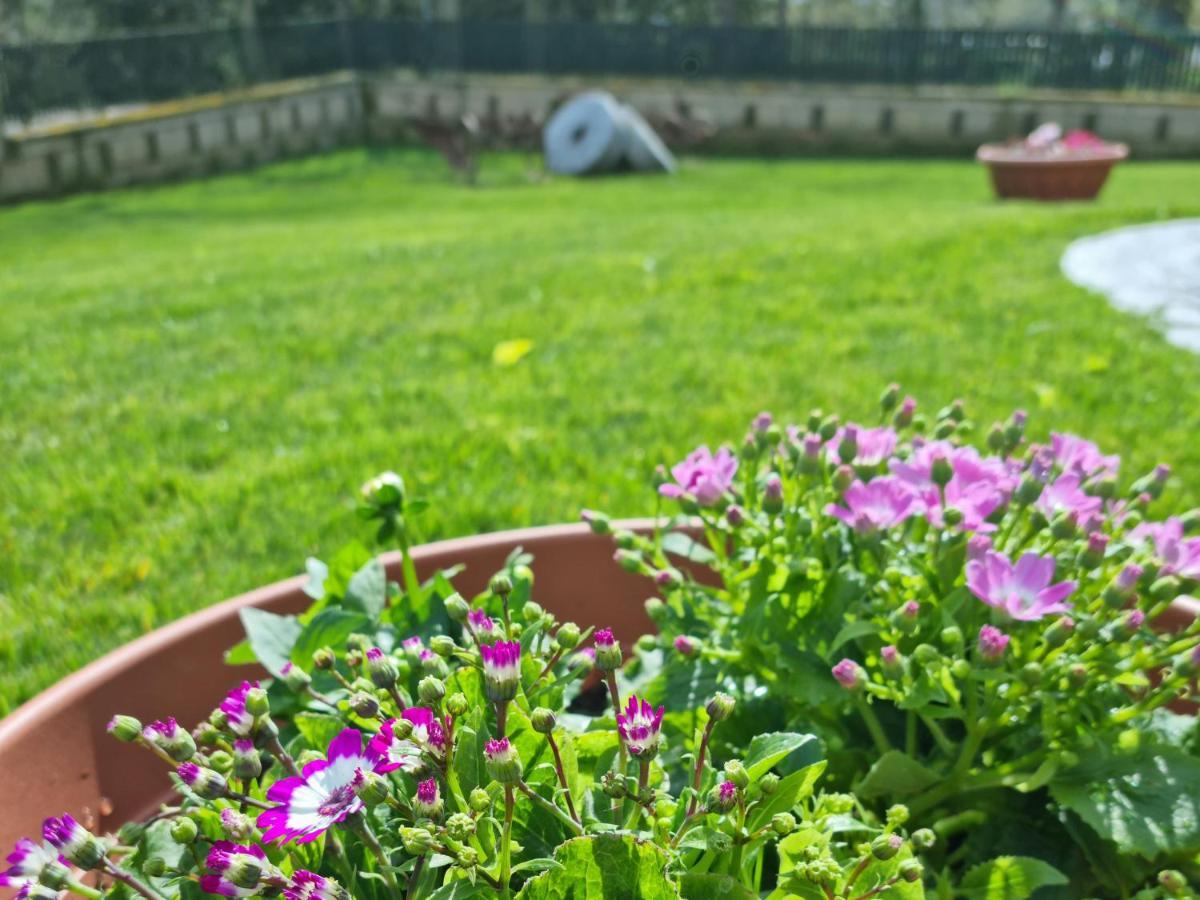 Il Casale Nel Parco Guesthouse Rome Buitenkant foto